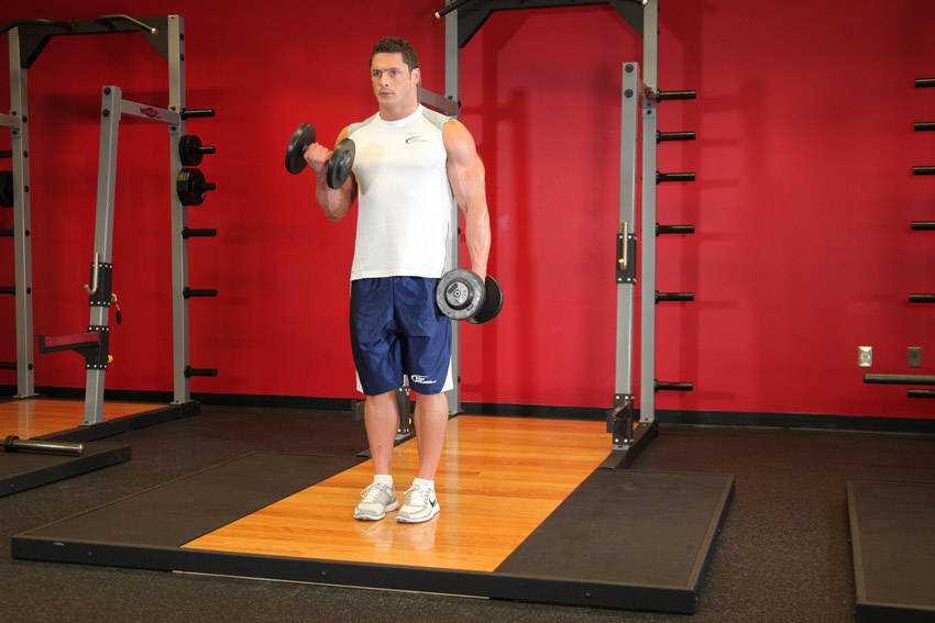 Alternate Dumbbell Curl
