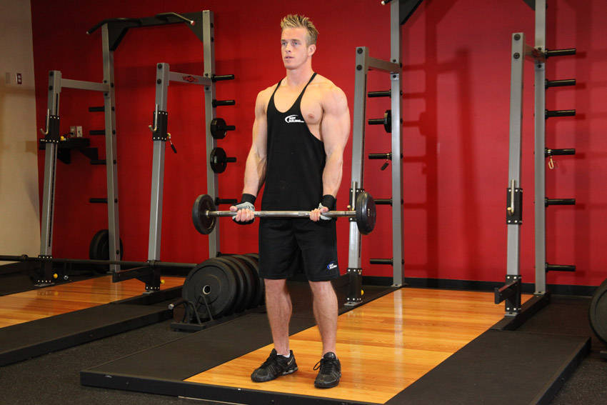 EZ Bar Curl