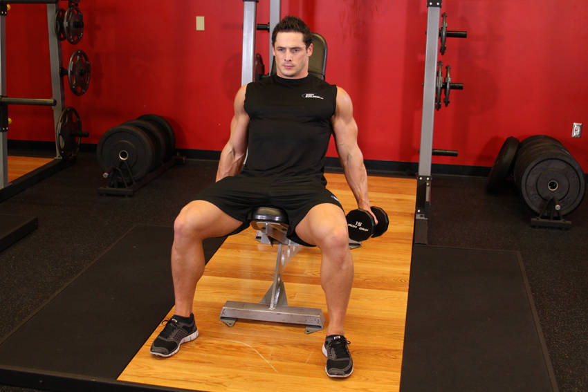Dumbbell Curls